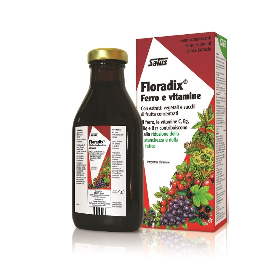 FLORADIX FERRO E VITAMINE 250 ML