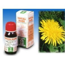 TARASSACO 28 50ML TM