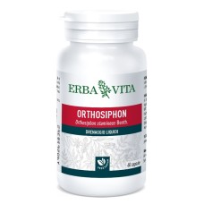 ORTOSIPHON 60 CAPSULE 400 MG
