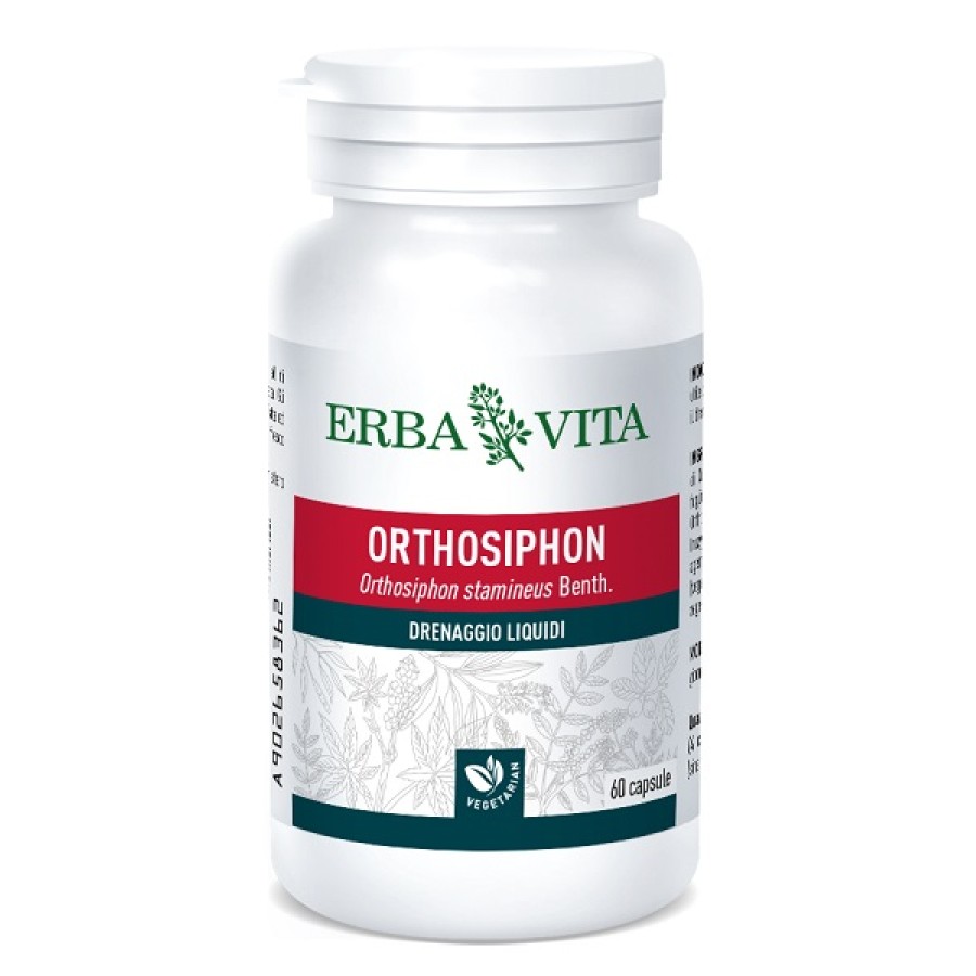 ORTOSIPHON 60 CAPSULE 400 MG
