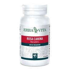 ROSA CANINA 60 CAPSULE 400 MG