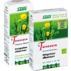 TARASSACO SUCCO 200 ML BIO