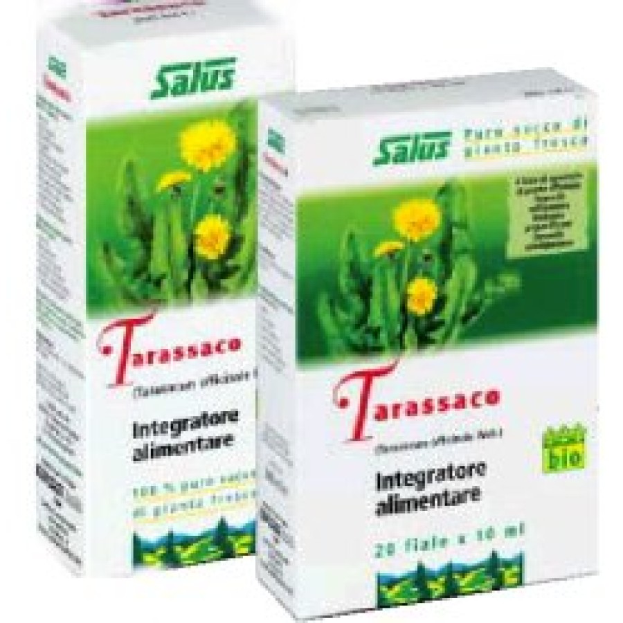 TARASSACO SUCCO 200 ML BIO