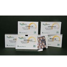 GINKGOSAN 60 COMPRESSE 400 MG