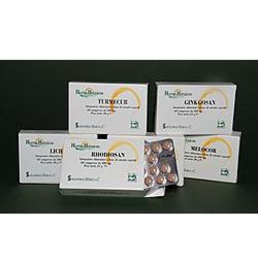 GINKGOSAN 60 COMPRESSE 400 MG