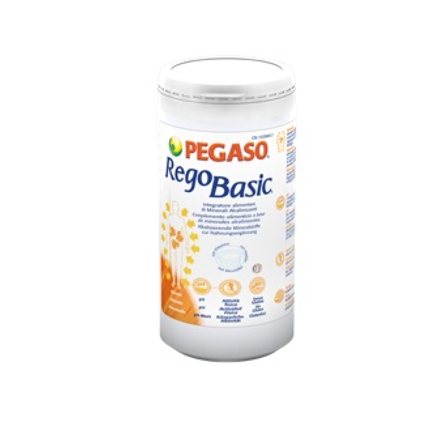 REGOBASIC POLVERE 250 G