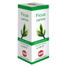 FICUS CARICA MG 100 ML GOCCE