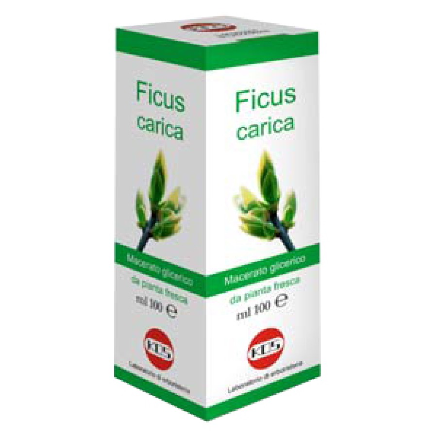 FICUS CARICA MG 100 ML GOCCE