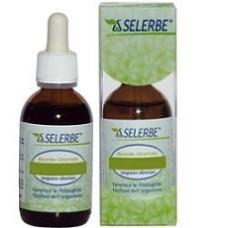 BETULLA VERRUCOSA LINFA 50 ML MACERATO GLICERICO