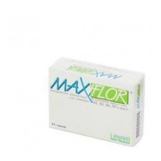 MAXIFLOR 20 BUSTINE