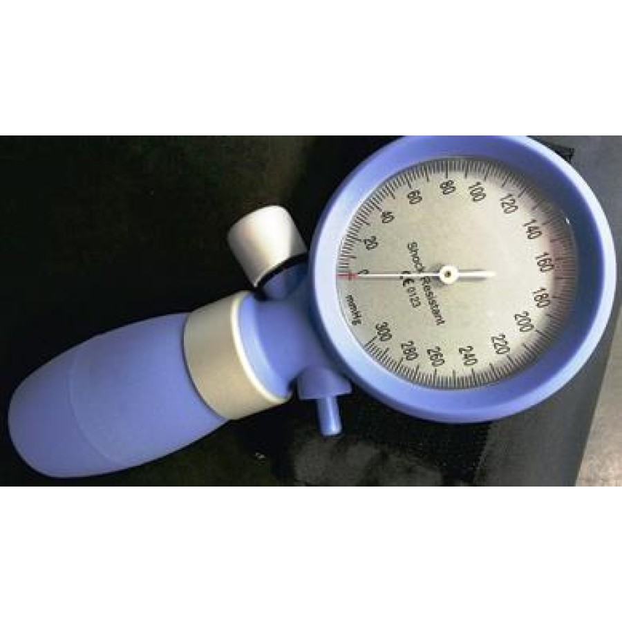 SFIGMOMANOMETRO PALMARE P-200 CON BLUE BRACCIALE 25-36 CM