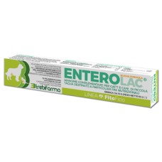 ENTEROLAC PASTA SIRINGA 15 G