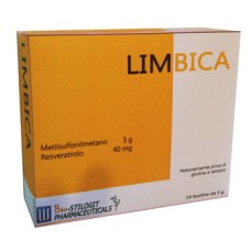LIMBICA 14 BUSTINE