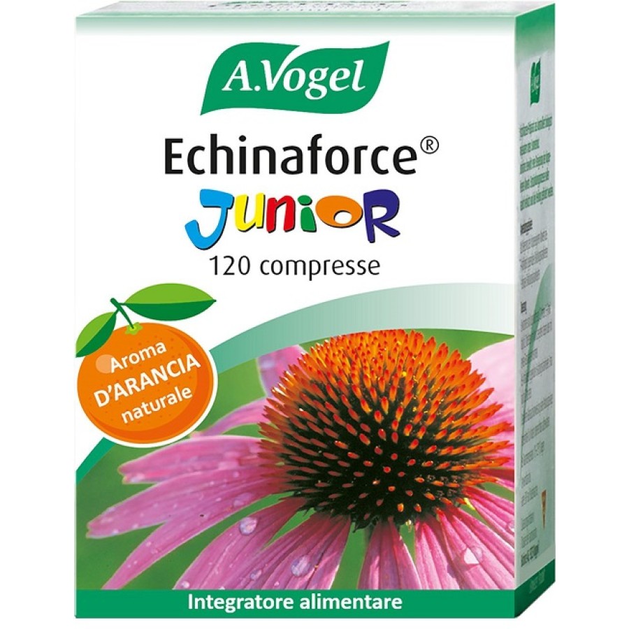 ECHINAFORCE JUNIOR 120 COMPRESSE