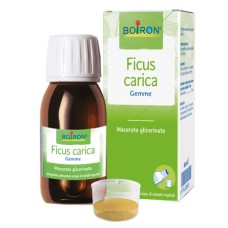 FICUS CARICA GEMME MACERATO GLICERINATO 60 ML INT