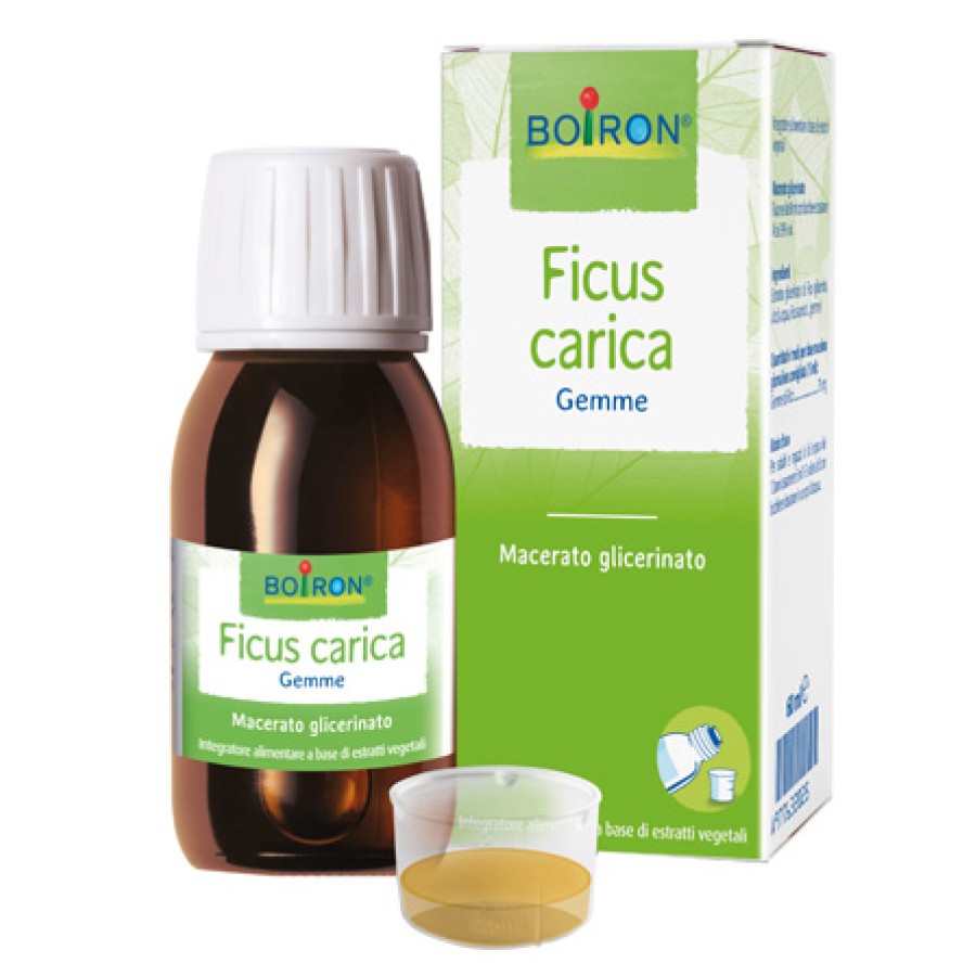 FICUS CARICA GEMME MACERATO GLICERINATO 60 ML INT