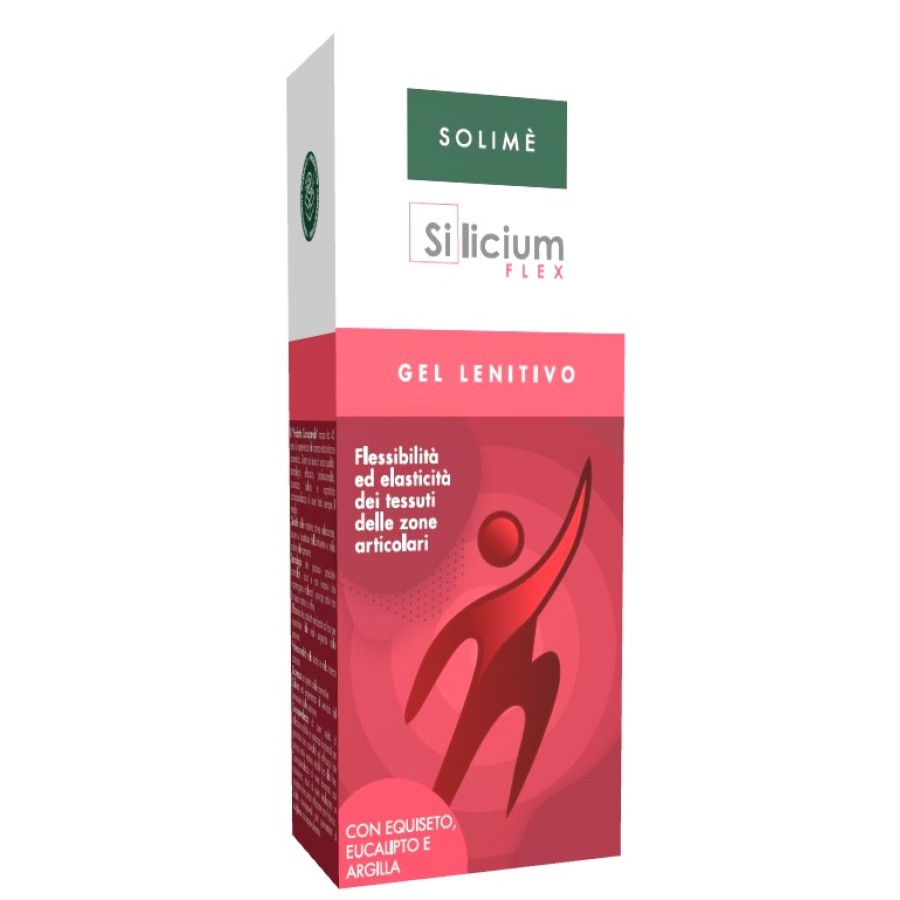 SILICIUM FLEX GEL 100 ML
