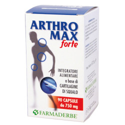 ARTHROMAX FORTE 90 CAPSULE