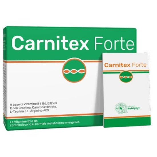 CARNITEX FORTE 14 BUSTINE