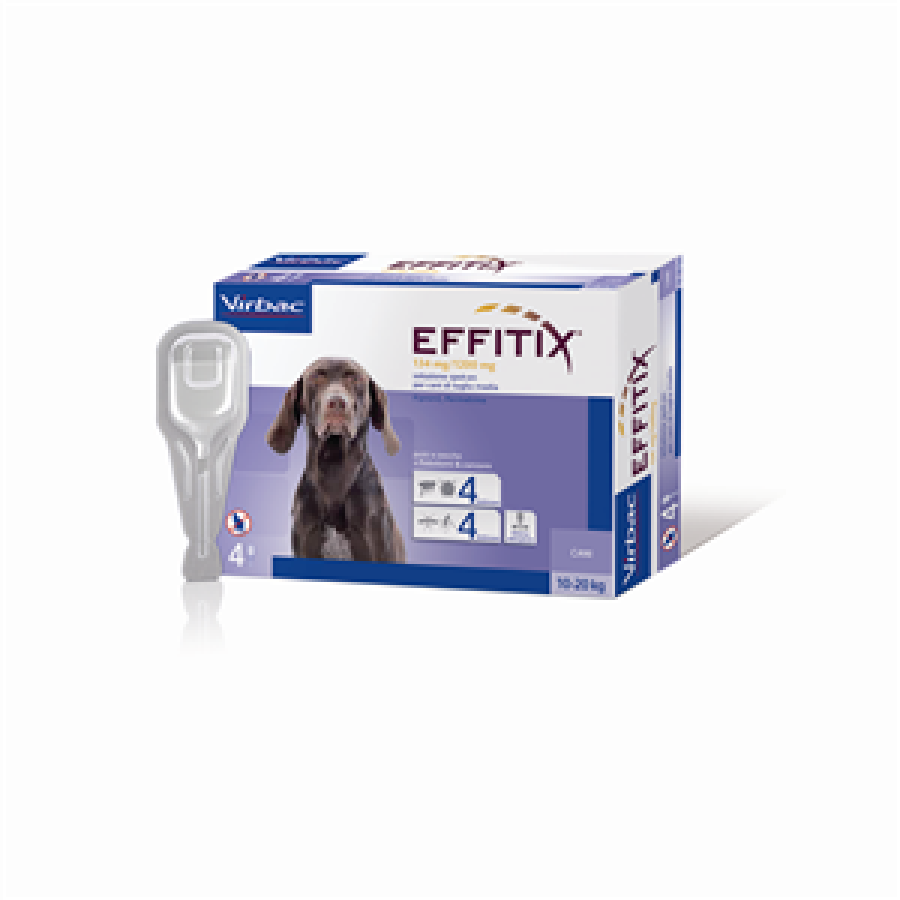 EFFITIX