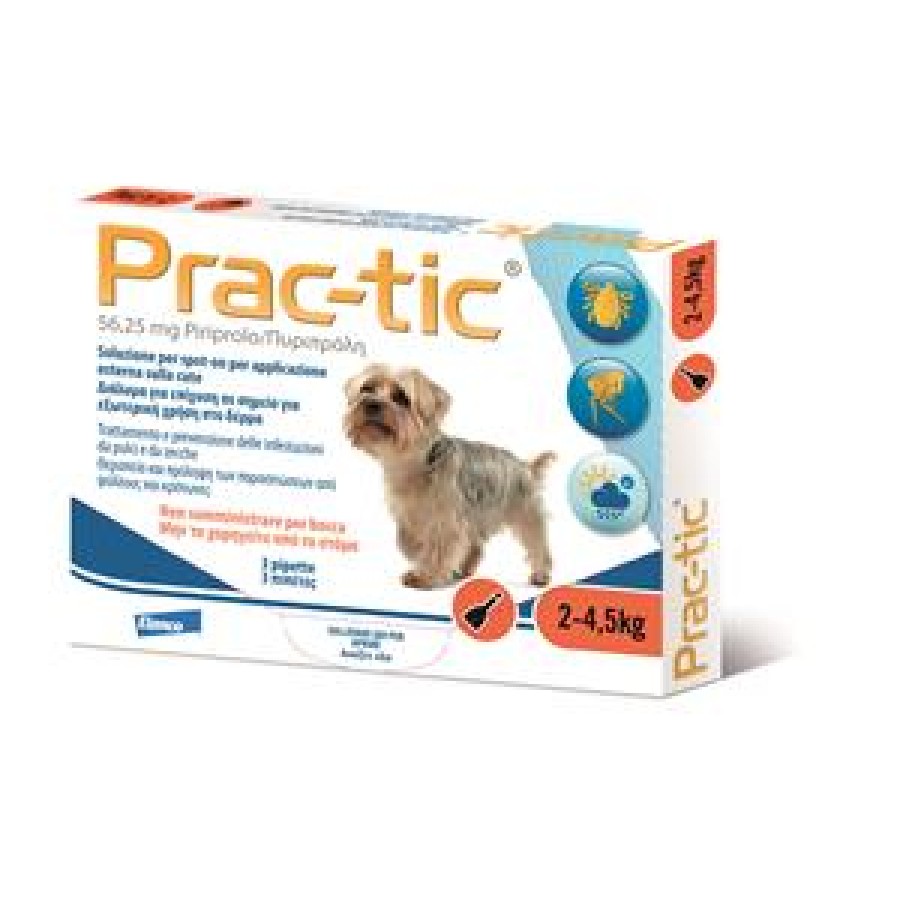 PRAC-TIC