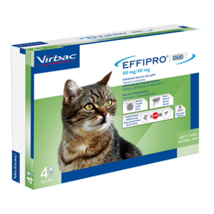 EFFIPRO DUO 50 MG/60 MG SOLUZIONE SPOT-ON PER GATTI
