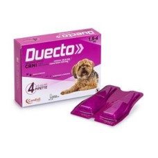 DUECTO
