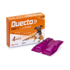 DUECTO