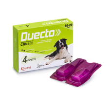 DUECTO