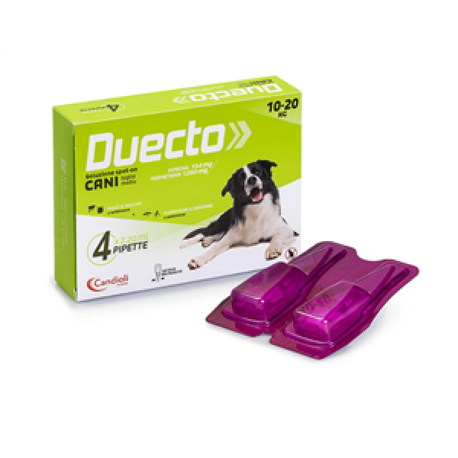 DUECTO